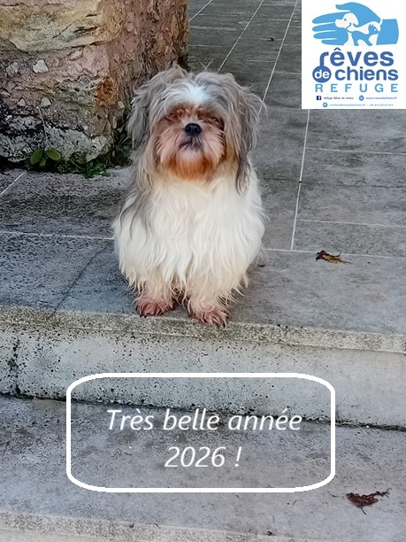 IMG-20250928-WA0006A