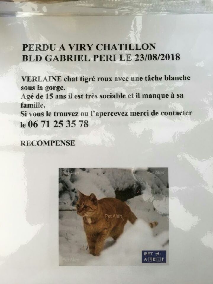 chat chatillon