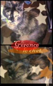 geronce1