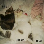 Avec ses copines, Hilly, adoptée et Hélium adoptée par la famille d'accueil.