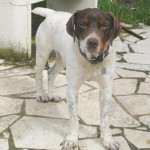 CHARLIE1
