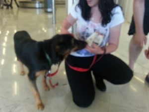 Charlie et son adoptante