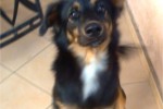 CHARLIE