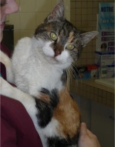 minette bis3