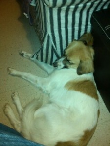 PART_1449088543147_resized