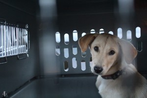 12792109_10208877143754343_1404753256264232359_o