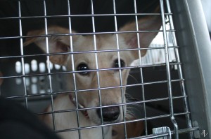 12794929_10208877145114377_4880208419796457007_o