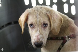 12823302_10208877143554338_4191237858839442694_o