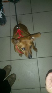 20160123_143657_resized