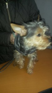 20160123_144714_resized