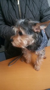 20160123_144719_resized