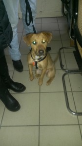 20160123_145943_resized