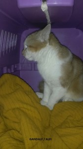 20160130_163213_resizedA