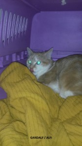 20160130_163227_resized B