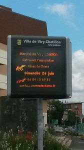 chat viry chatillon
