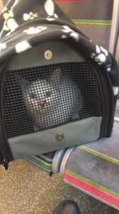 25317269_10214907440427991_986086189_o