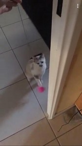 26194854_10215070432102681_238475587_o