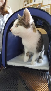 Resized_20170930_144715[1]