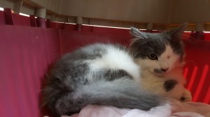 Resized_20170930_150221[1]