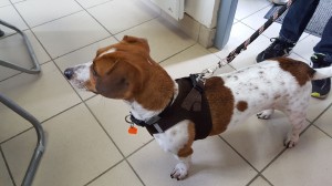 Resized_20170930_152612[1]