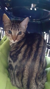 Resized_20170930_154609[1]