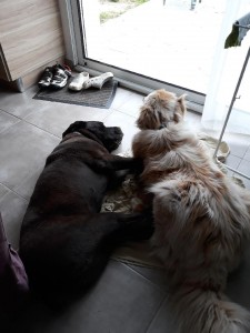 Resized_20180425_091657_1636