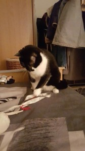 20160105_221952_resized