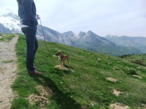 pyrénée 2016 059