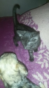 20160513_185812_resized