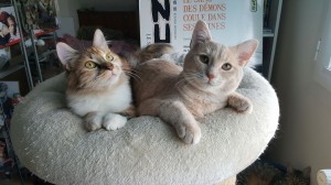 NEILA ET ASLAN 01