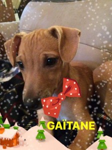 gaitane5