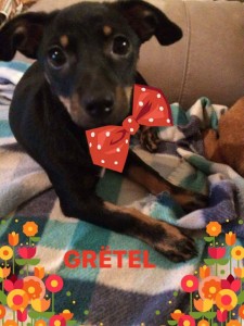 gretel8