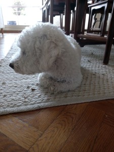 068d5a5a-bf9e-4b54-8203-4754a5963420