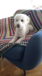 4cbba28b-97b1-4862-a7b3-07de0dd610e8