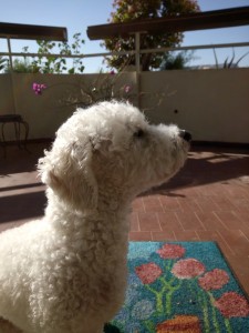 f76cd836-9ebe-4d30-97b1-d0d32aab89d4