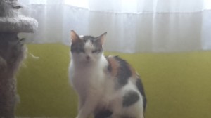 20191013_181229