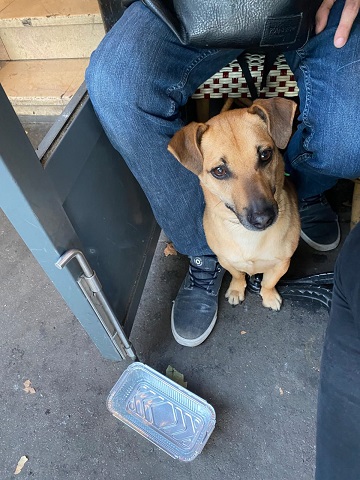JAKE : RESERVE