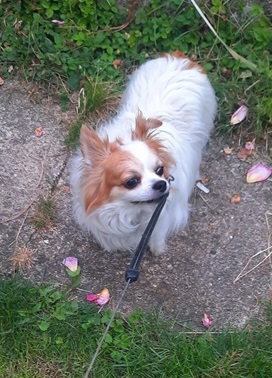 JACK