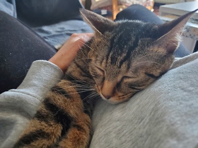 GUS
