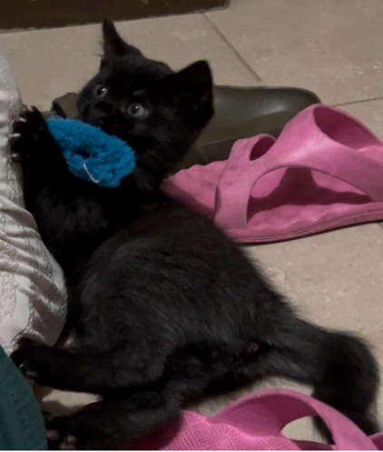 IMG-20251119-WA0009A