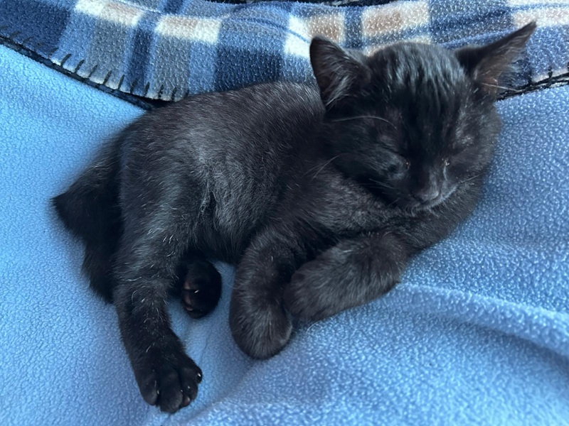 IMG-20251119-WA0019A