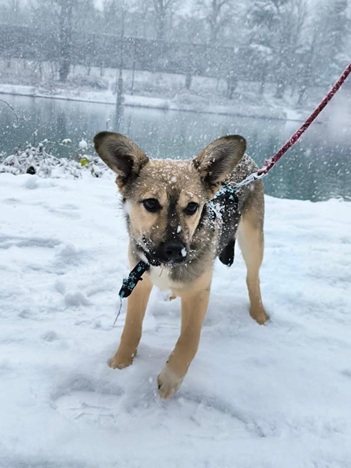 IMG-20260402-WA0001A