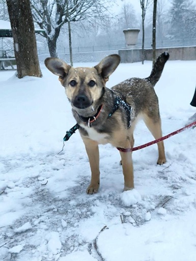 IMG-20260402-WA0002A