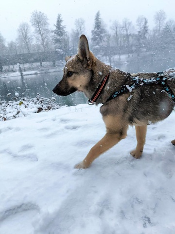 IMG-20260402-WA0003A