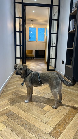 IMG-20260402-WA0006A