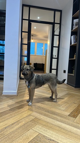 IMG-20260402-WA0007A