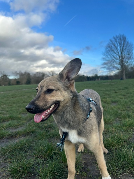 IMG-20260402-WA0008A