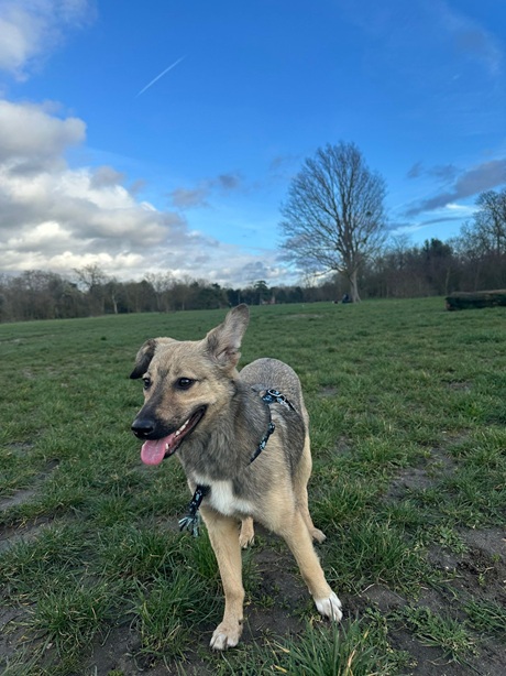 IMG-20260402-WA0010A