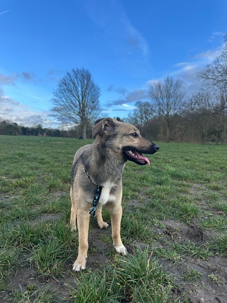 IMG-20260402-WA0011A