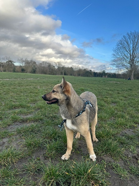 IMG-20260402-WA0012A